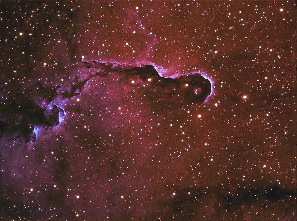 IC 1396 Elefantenrüsselnebel